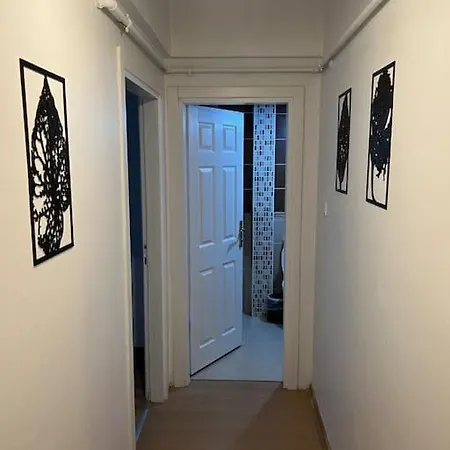 Perfect 3 1 Flat, Excellent Location,superb Decoration