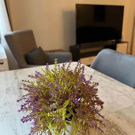 Perfect 3 1 Flat, Excellent Location,superb Decoration